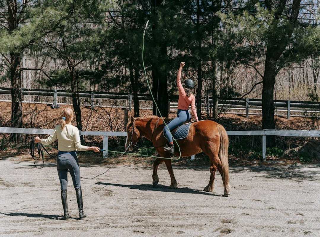 Hitler's Disdain for Horses: Practical and Ideological Reasons